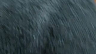 La mia neretta mi succhia il cazzo