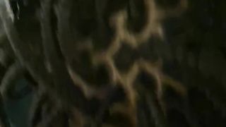 La mia neretta mi succhia il cazzo