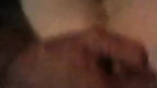 Mi piace succhiare ospito a firenze