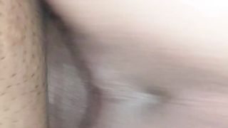 Quella porca di mia sorella