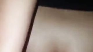 Cavalcata con una Troia