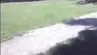 Ragazza fa pompino e ingoia al parco