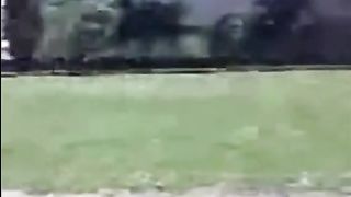 Ragazza fa pompino e ingoia al parco