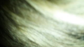 FACCIAMOCI LECCARE IL BUCO DEL CULO