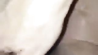 FACCIO LA TROIA E SQUIRTO