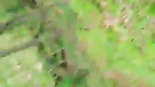 Sesso tra i cespugli