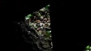 Sesso tra i cespugli