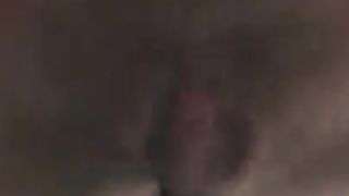 Leva del cambio in figa