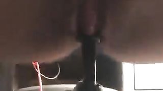 Leva del cambio in figa