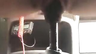 Leva del cambio in figa