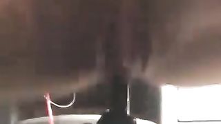 Leva del cambio in figa