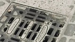 A chi piace la mia signora?