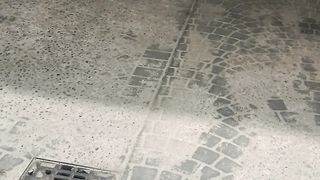 A chi piace la mia signora?