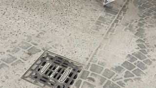 A chi piace la mia signora?