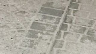 A chi piace la mia signora?