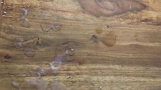 Catania, sborratona con dedica agli amici da Lara e Matteo