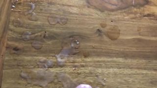 Catania, sborratona con dedica agli amici da Lara e Matteo