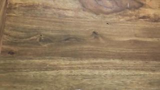 Catania, sborratona con dedica agli amici da Lara e Matteo