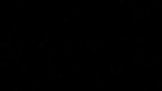 La regina del sesso orale interrazziale