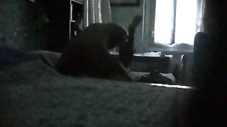 Quarantenne scopata sul lettone dei miei