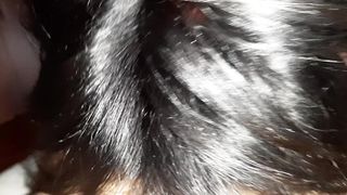 TETTONA SUCCHIACAZZI