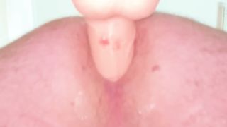 Nuovo dildo 23cm x 8 di larghezza