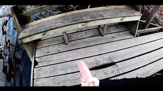 Mi svuota le palle al lago