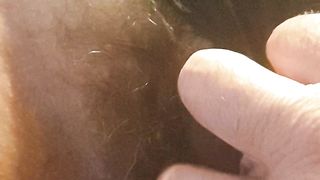 La fica vogliosa di mia moglie