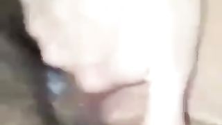 La mia tettona troia impazzisce per il mio cazzo