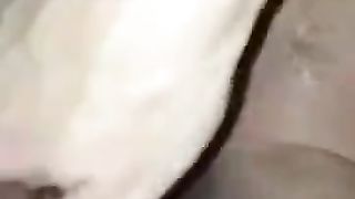 La mia tettona troia impazzisce per il mio cazzo