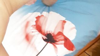 POVERA PECORINA SMARRITA....