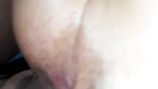 POVERA PECORINA SMARRITA....