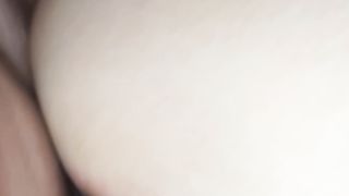 POVERA PECORINA SMARRITA....