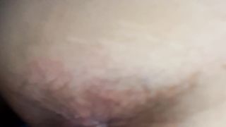 POVERA PECORINA SMARRITA....