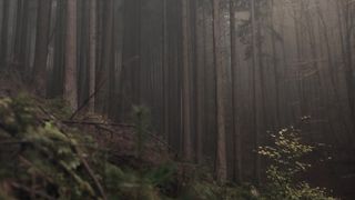 Dedicato alle amiche con cui chatto