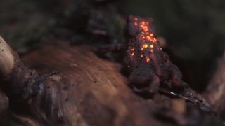 Dedicato alle amiche con cui chatto