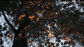 Dedicato alle amiche con cui chatto