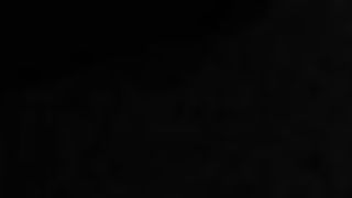 ...Vieni (in)dietro, porca!