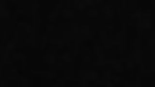 ...Vieni (in)dietro, porca!