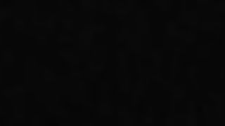 ...Vieni (in)dietro, porca!