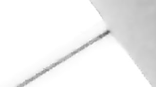 ...Vieni (in)dietro, porca!