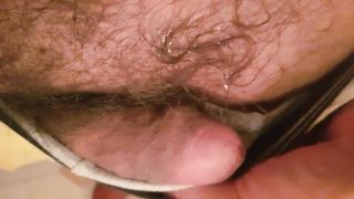 Anteprima del video: Le chat che adoro