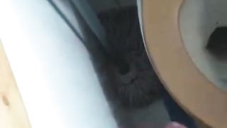 Ti piace il mio cazzone duro?