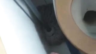 Ti piace il mio cazzone duro?