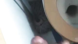 Ti piace il mio cazzone duro?