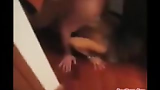 Implorandolo nel culo