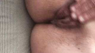 Alla porca piace farsi vedere