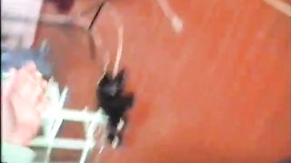 Si fa sverginare con un cacciavite