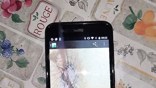 Tributo a blade19721