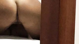 Mi spompina a pecorina